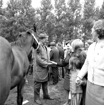 Pferdehandel auf dem Mariä-Geburts-Markt in Telgte, September 1973.