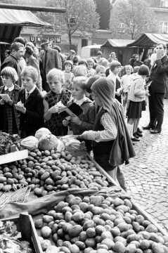 Schulstunde auf dem Wochenmarkt: Kinder mit Notizheften am Gemüsestand. Motiv und Standort unbezeichnet, 1967