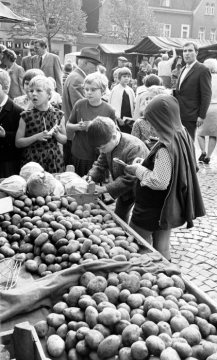 Schulstunde auf dem Wochenmarkt: Kinder mit Notizheften am Gemüsestand. Motiv und Standort unbezeichnet, 1967.