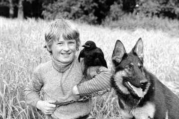Beste Freunde - Junge mit Dohle und Hund, 1978.