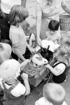 Kleine Kaninchen-Freunde: Kinder fahren ein Kaninchen im Kinderwagen umher, Juli 1983.