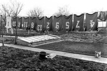 Großer Hausgarten mit Trockenplatz in Castrop-Rauxel. Auf der Wäscheleine trocknen Fußballtrikots. März 1980.
