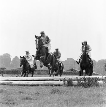 "Castroper Rennen" auf der Naturhindernisbahn Castrop-Rauxel, Juli 1967. [Rennbetrieb 1870-1970, ab 1997 aufbereitet zum Naherholungsgebiet]