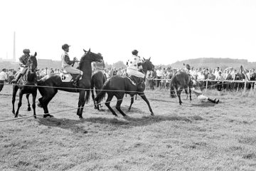 "Castroper Rennen" auf der Naturhindernisbahn Castrop-Rauxel, 14. Juli 1968. [Rennbetrieb 1870-1970, ab 1997 aufbereitet zum Naherholungsgebiet]
