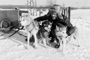 Schlittenhundetraining, Castrop-Rauxel, Dezember 1981.