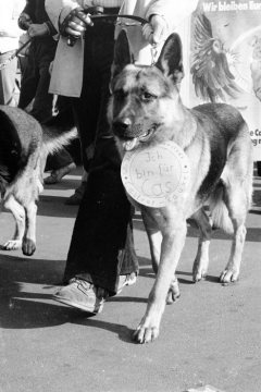 Castrop-Rauxel, Oktober 1972: Demonstration gegen eine 75%ige Erhöhung der Hundesteuer und gegen die geplante Eingemeindung nach Dortmund.