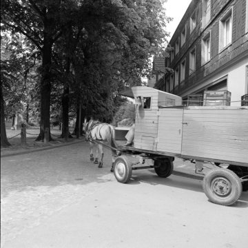 Milchhandel per Pferdefuhrwerk in Nottuln, 1975