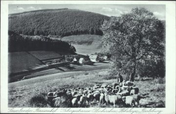 Blick auf einen Sauerländer Bauernhof an der Gebirgsstraße Oberkirchen-Hoheleye-Berleburg, undatiert