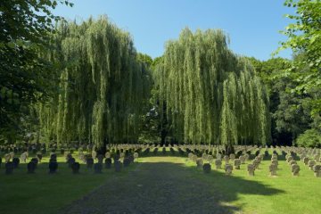 Kriegsgräberfeld auf dem dem Dortmunder Hauptfriedhof, Juni 2019.