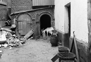 Herdecke 1933 - Hinterhof zwischen Haus Grave und Haus Becker (ohne Standortangabe)