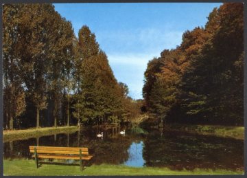 Teich im Hotelpark des Hotels "Zum Wilzenberg" der Familie Deimann in Winkhausen (Gemeinde Schmallenberg)