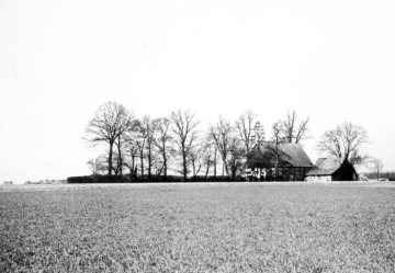Münsterländer Bauernhof mit Baumumfriedung. Standort nicht überliefert. Undatiert.