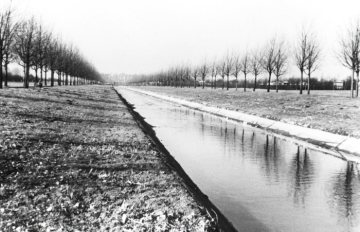 Ehemaliger Max-Clemens-Kanal mit Gewässer der Münsterschen Aa in der nördlichen Innenstadt Münsters - Abschnitt parallel zur Kanalstraße im Bereich des späteren "Zentrum Nord" zwischen Lublinring und Nevinghoff. Undatiert, 1939-1945.