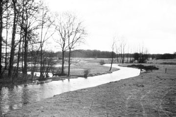 Naturbelassener Flusslauf der Hessel (Nebenfluss der Ems) bei Milte, 1939-1945.