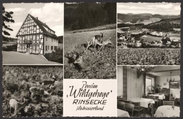 Eindrücke von der Pension "Wildgehege" in Rinsecke (Gemeinde Kirchhundem)