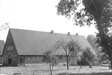 Ibbenbüren-Dörenthe, großer Hofneubau Haus Ahmann, 1945-1949.