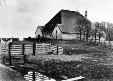 "Roter Haubarg" bei Witzwort auf der Halbinsel Eiderstedt, Nordfriesland, Schleswig-Holstein. Undatiert, vor 1945.