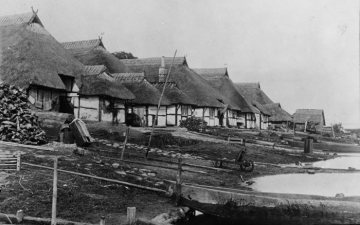 Reet- oder strohgedeckte Fischerhäuser an einem See- oder Boddengewässer. Standort nicht überliefert. Undatiert, vor 1945.