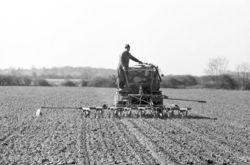 Rinkerode, 1965 - Genossenschaftsmitarbeiter bepflanzt den vorbereiteten Acker mit einer Rüben Setzmaschine.