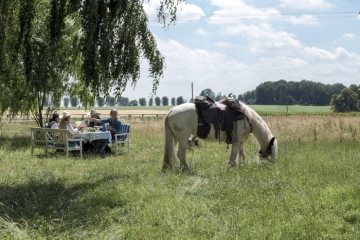 Mittagspause einer Wanderreitergruppe in den Baumbergen. Veranstalter: Zentrum für Freizeitreiten Elke Waning, Legden. Juni 2018. 