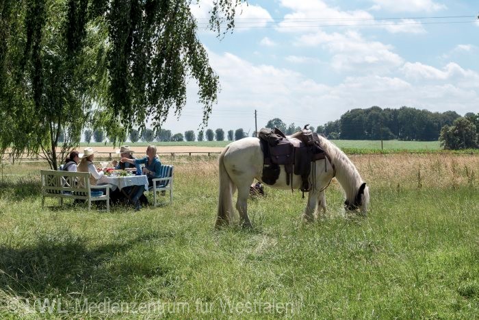 10_14549 Pferdeland Westfalen - Fotodokumentation 2017-2019