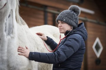 Pferdeklinik Telgte, 2019: Tierärztin bei der Eingangsuntersuchung. Sie verzichtet auf den Arztkittel, um das Pferd nicht zu beunruhigen.