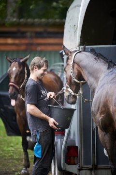 Versorgung der Pferde nach einem Trainingstag im Vielseitigkeitsreiten auf einem Hindernisparcours in Halle, Juni 2019.