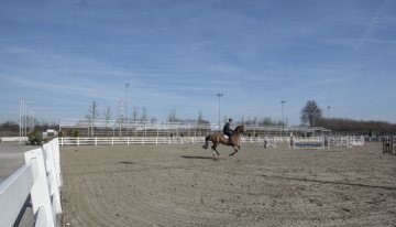 Reitsportzentrum Massener Heide, Unna - Trainings- und Turnierplatz. März 2017