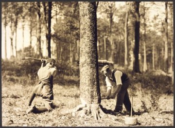 Sauerland (Ort unbekannt), Holzfäller bei der Arbeit, undatiert (1930er/1940er Jahre?)