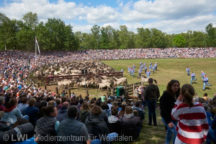 10_15072 Pferdeland Westfalen - Fotodokumentation 2017-2019