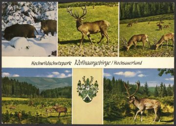 Eindrücke vom "Deutschen Hochwildschutzpark Schulte-Wrede" in Oberhundem (Gemeinde Kirchhundem), 1963 gegründet