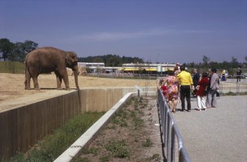 Allwetterzoo: Besucher vor dem Elefantengehege