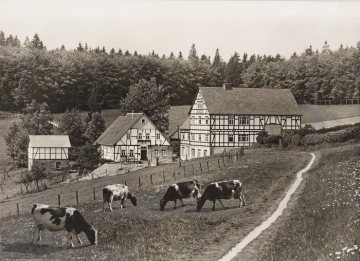 Die Jugendherberge in Kühhude (Gemeinde Bad Berleburg), Fotomontage mit Kühen, undatiert (1930er Jahre?)