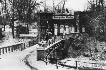 Zoologischer Garten, Eingangstor mit verschneiter Aa-Brücke an der Himmelreichallee
