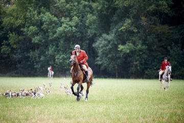 Schleppjagd der Pferdesportfreunde Dorffeld e. V. durch Feld und Wald bei Alverskirchen, August 2019.