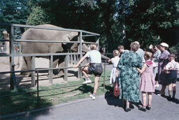 Zoologischer Garten an der Aa: Besucher am Elefantengehege
