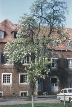 Heeremannscher Hof, Königsstraße: ehemaliges Oberverwaltungsgericht