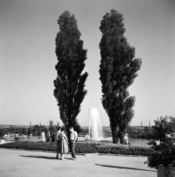 Westfalenpark, Bundesgartenschau 1959