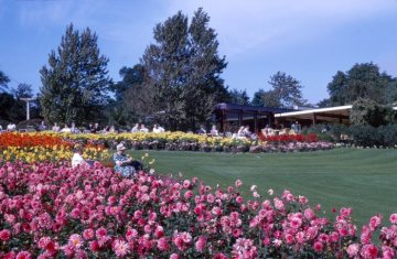 Westfalenpark: Blütenpracht auf der Bundesgartenschau 1959