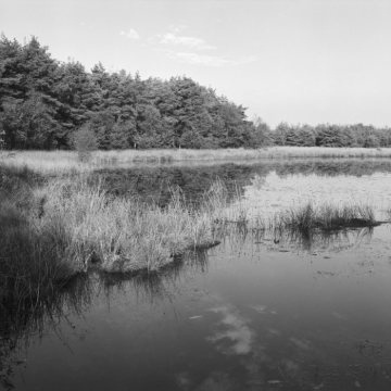 Moorweiher im Naturschutzgebiet "Schwatte Gatt" südlich von Lünte