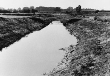 Begradigter Flusslauf der Berkel mit gemauerter Einschnürung und gemähten Ufer