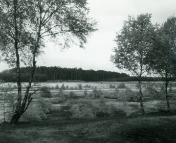 Verbuschender Grund der Kiessandabgrabungsfläche in der Hohen Ward (später Hiltruper See)