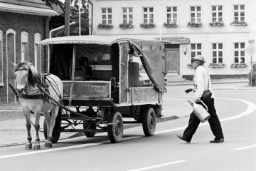 Milchmann mit Pferdegespann unterwegs in Nottuln, Juli 1975.