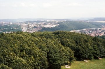 Blick vom Bismarckturm über den Stadtwald nach Osten