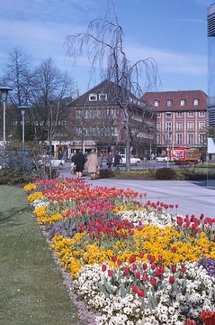 Blumenrabatten am Servatiiplatz - Blick Richtung Salzstraße