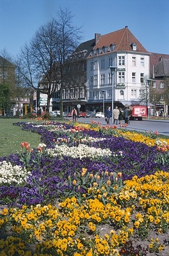 Blumenrabatten an der Salzstraße Höhe Promenade