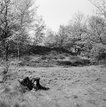 Hügelgrab auf dem Lünsberg