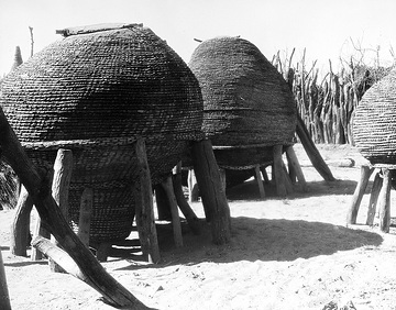 Kornkörbe der Ovambos auf termitensicherem Pfahlgestell