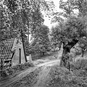 Mühle bei Oevinghausen, undatiert, um 1950.