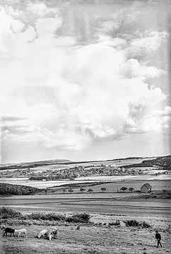 Ziegenhude, Echthausen im Hintergrund, udatiert, um 1930.